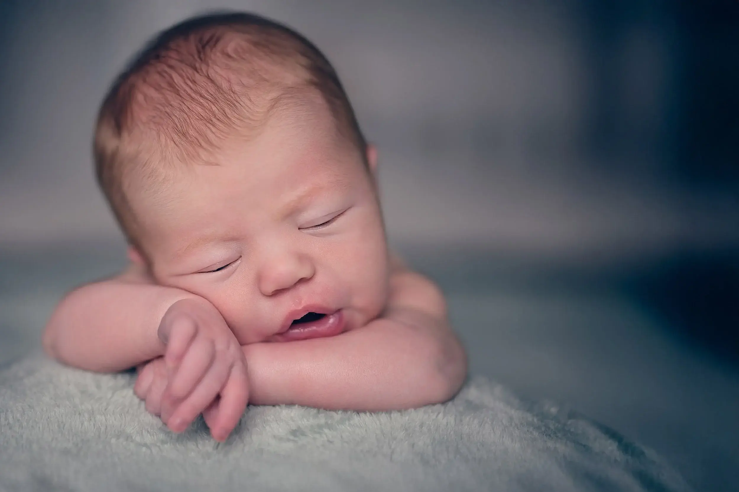 familieshoot newborn babyfotografie